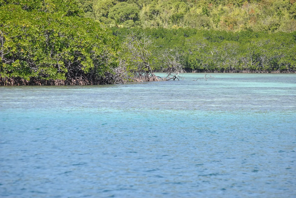DSC_0124-4