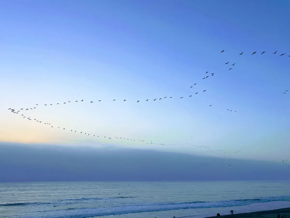 WhatsApp Image 2025-11-02 at 10