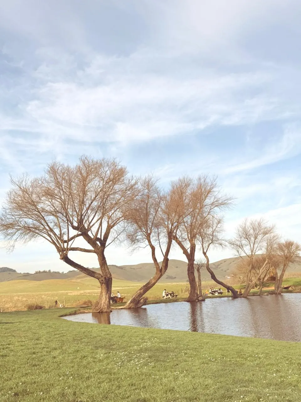 WhatsApp Image 2026-03-01 at 10