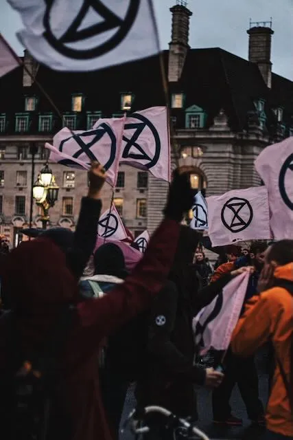 A crowd waves flags of extinction rebellion flags