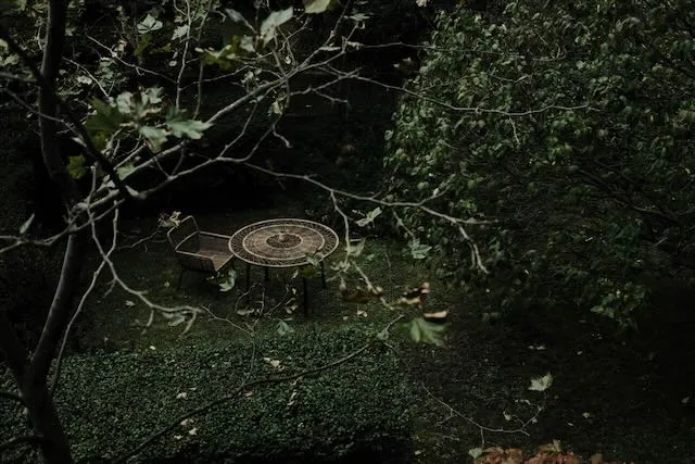 A view of a secret garden