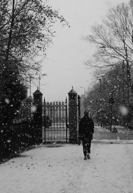A figure walks away from the camera in the snow