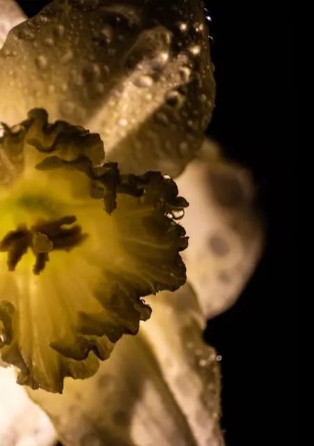 a macro shot of a flower covered in water droplets