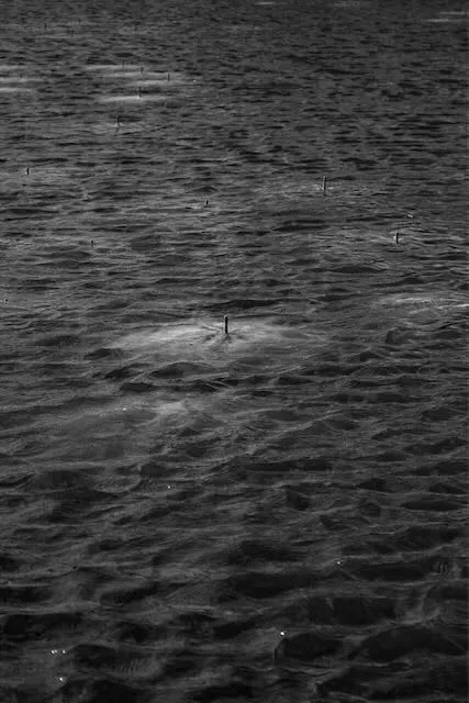 Umbrellas underwater