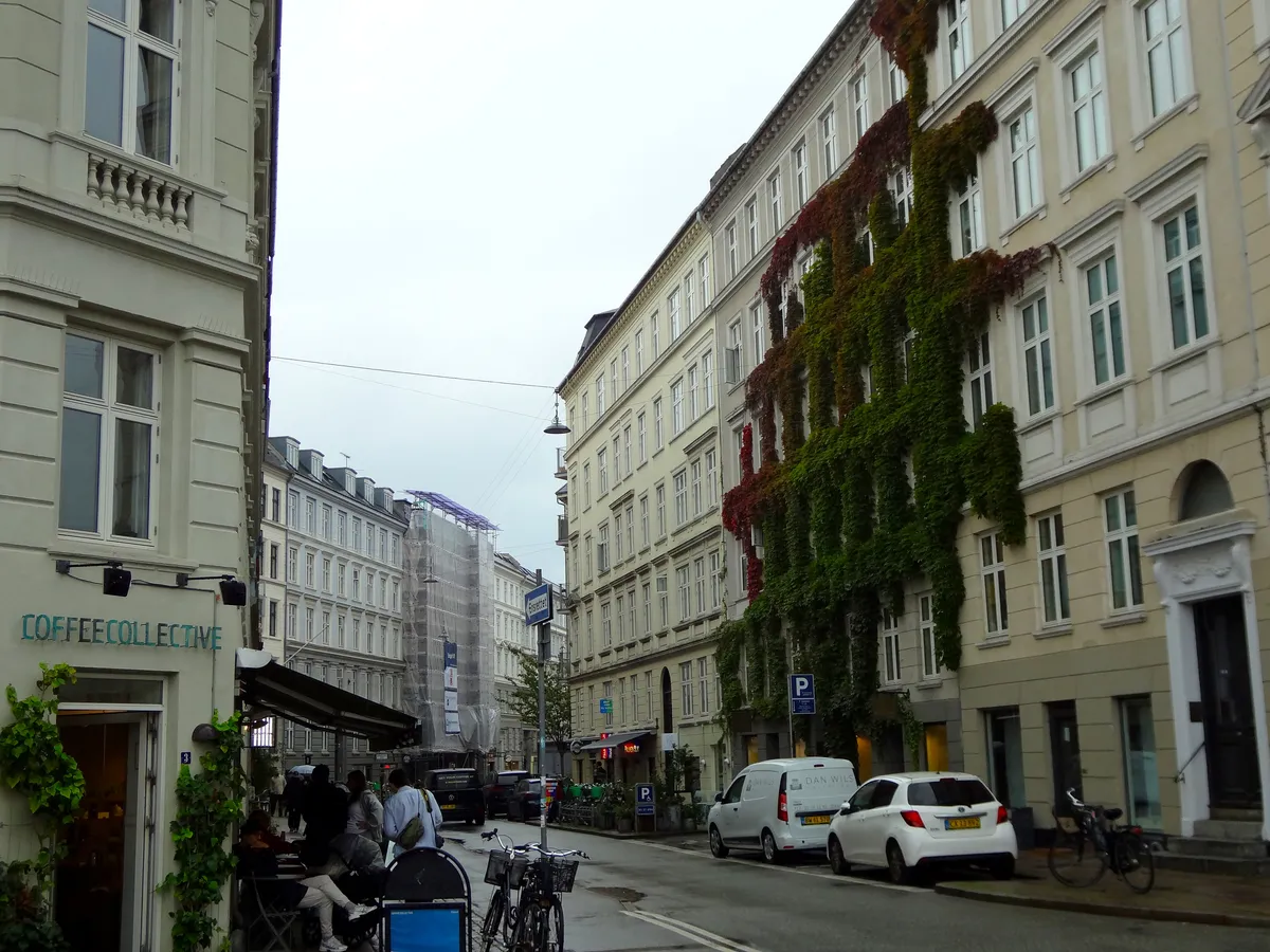 DSC00229