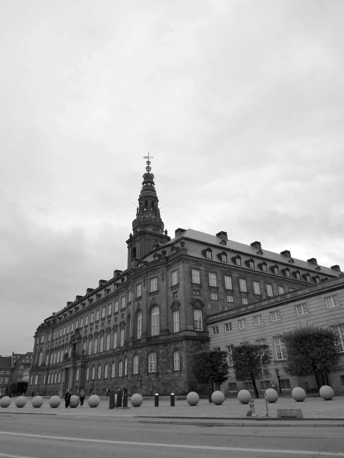 DSC00313