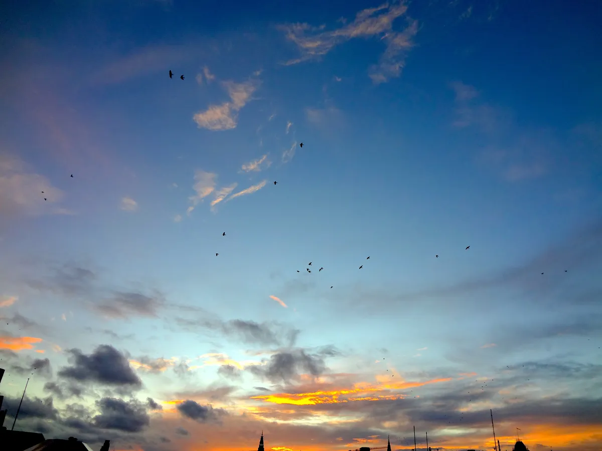 DSC00395