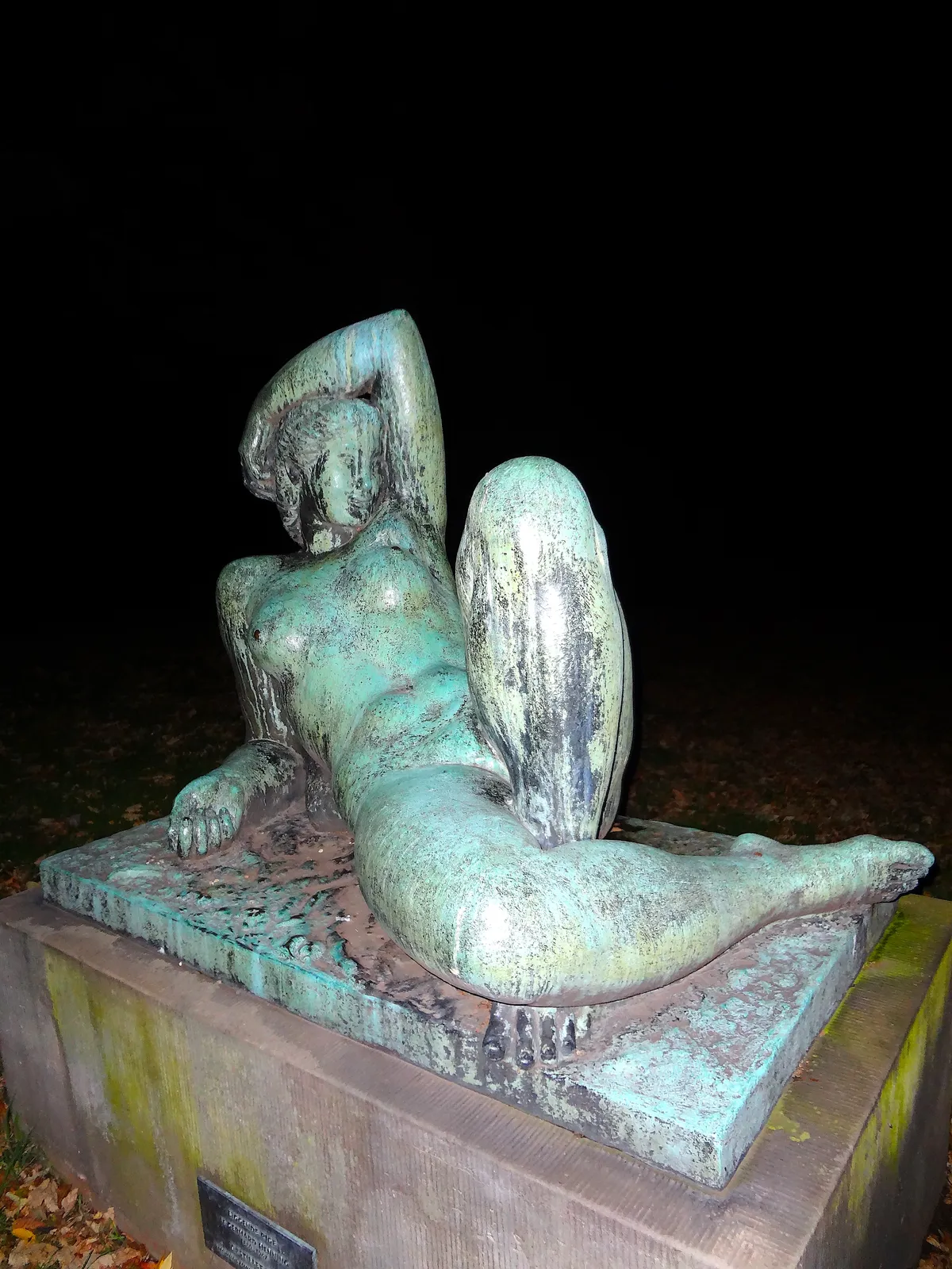 DSC00401