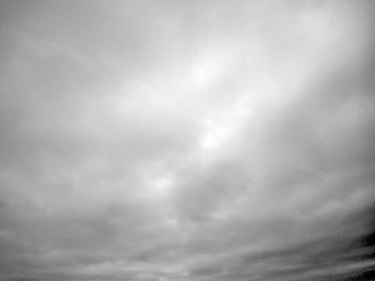 DSC00543