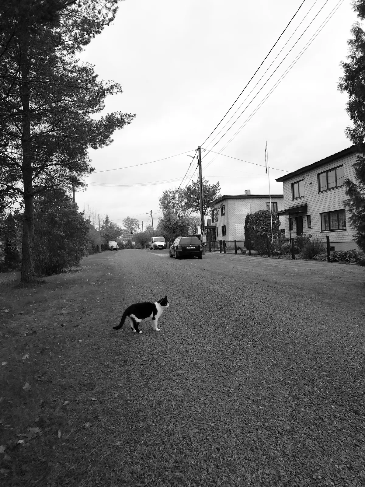 DSC00587