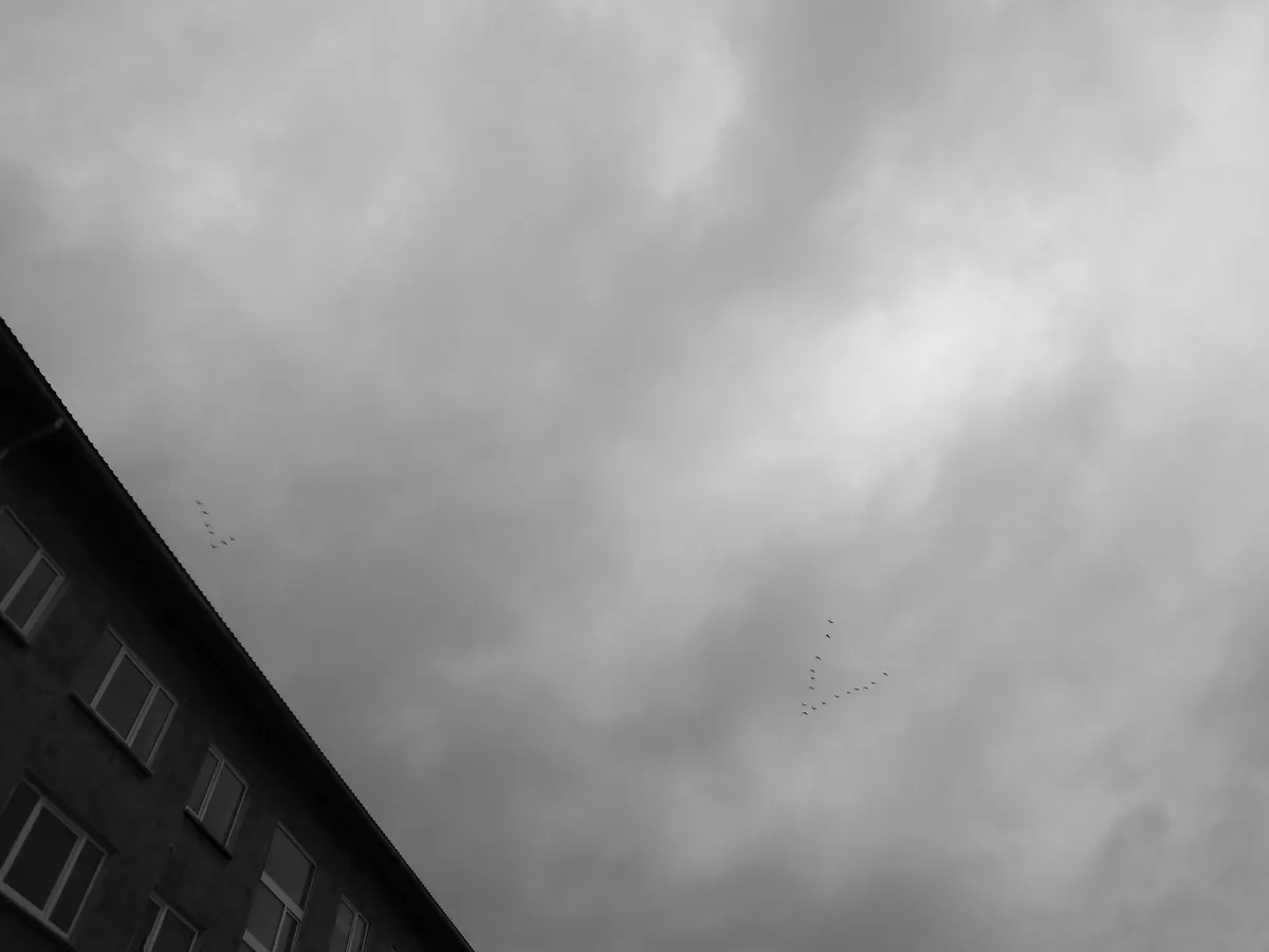 DSC00612