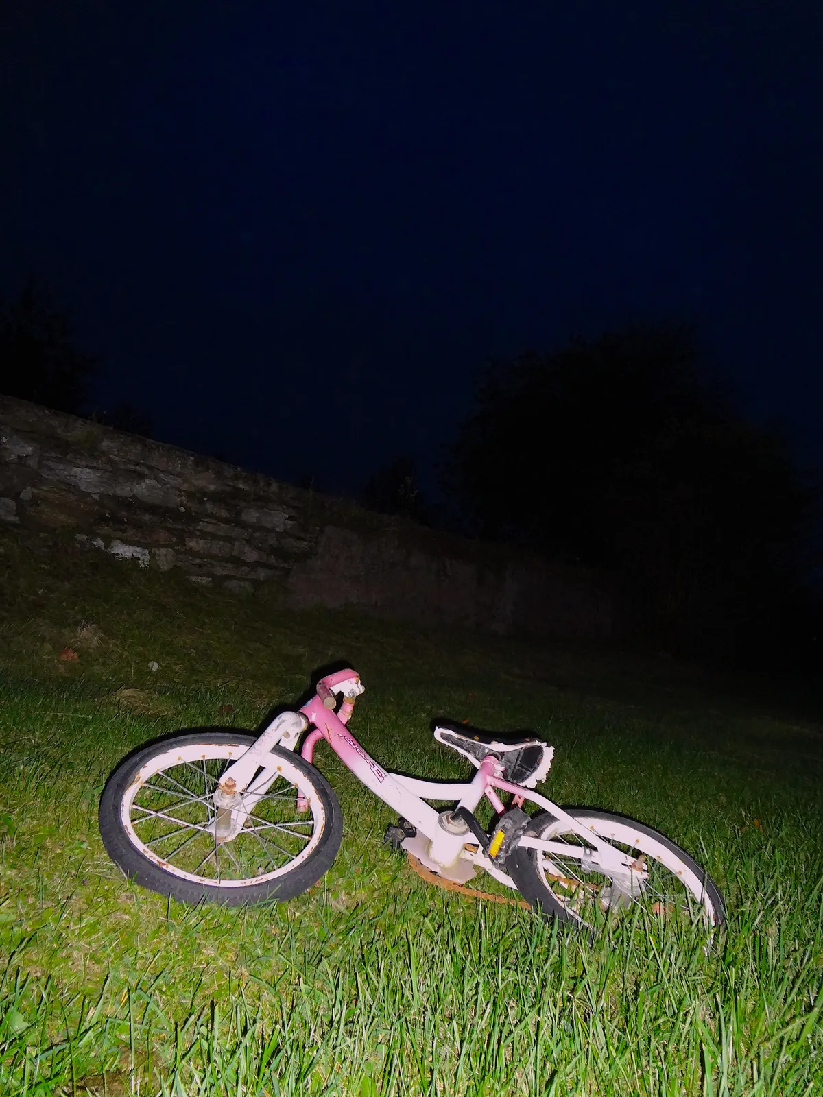 DSC00667_EDIT