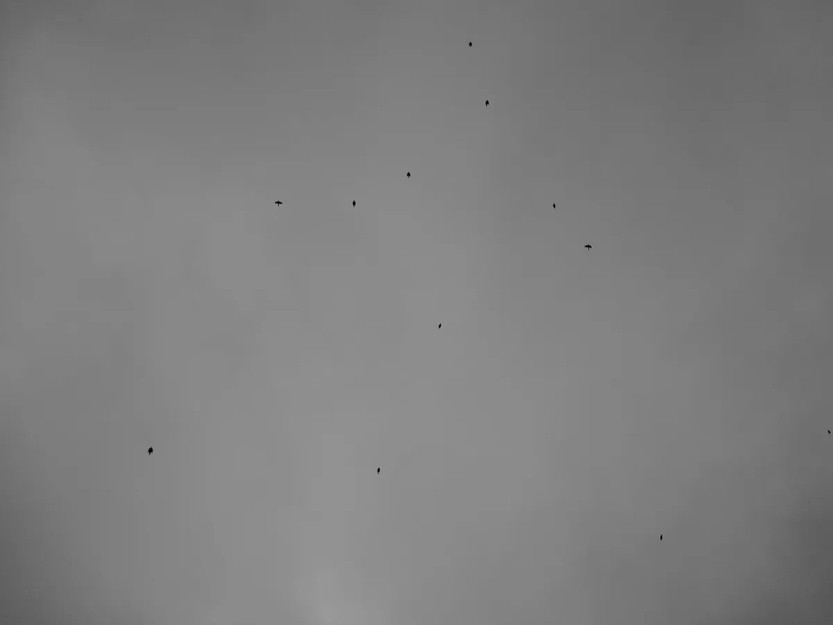 DSC00678_EDIT