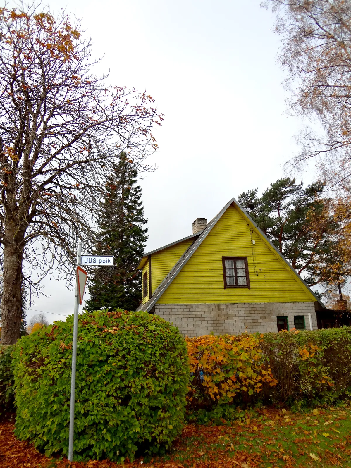 DSC00682_EDIT
