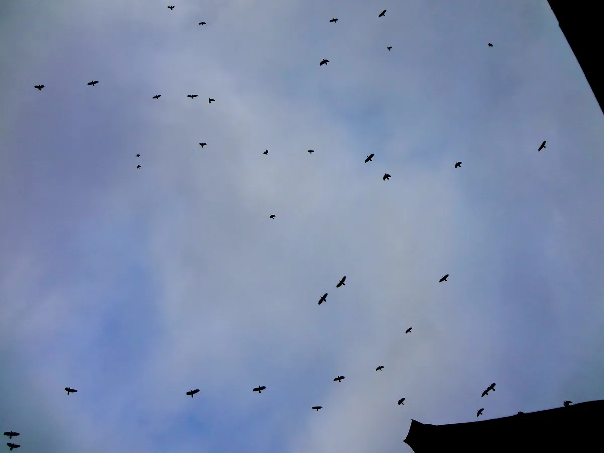 DSC00752_EDIT