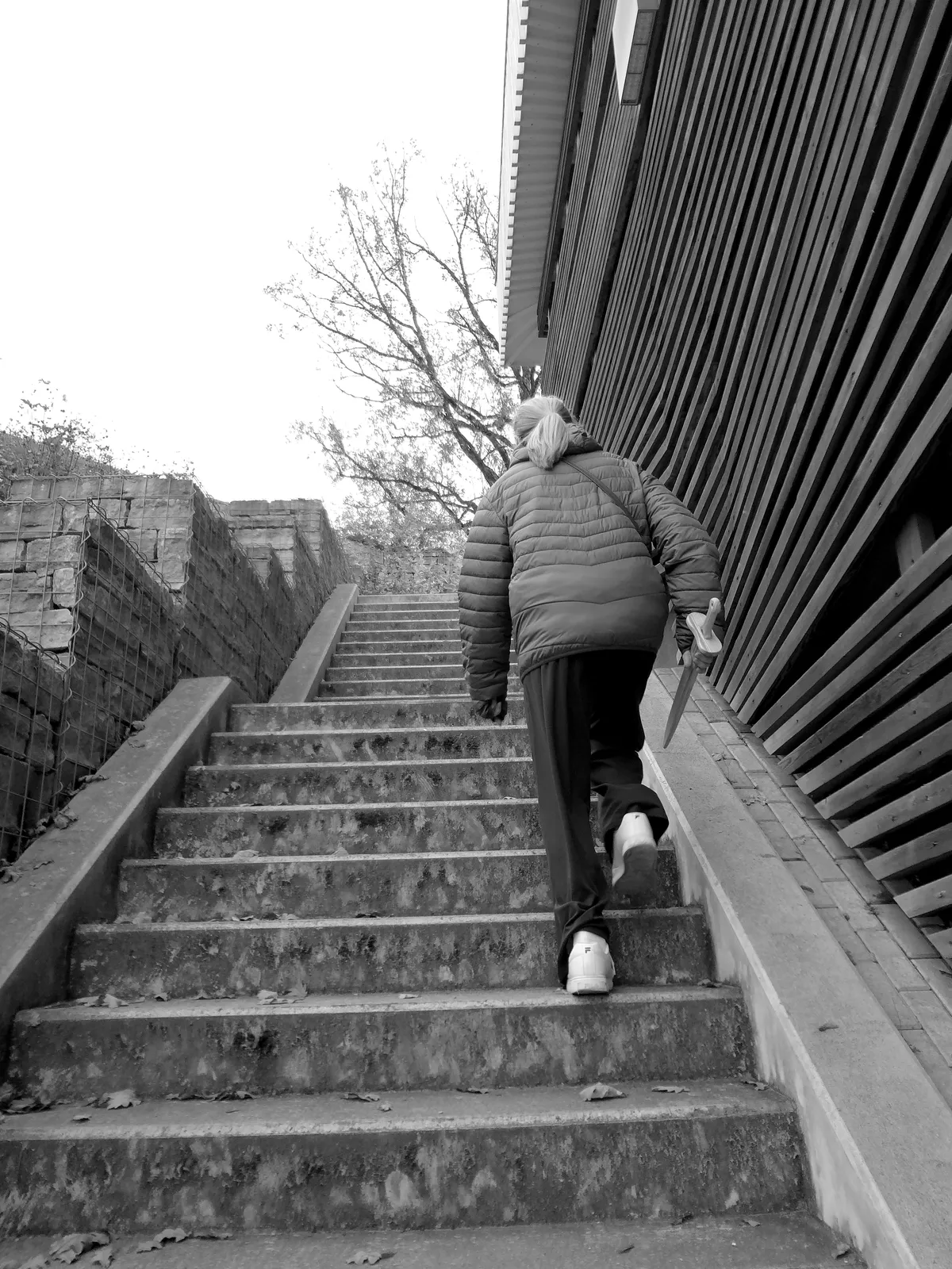 DSC00848_EDIT