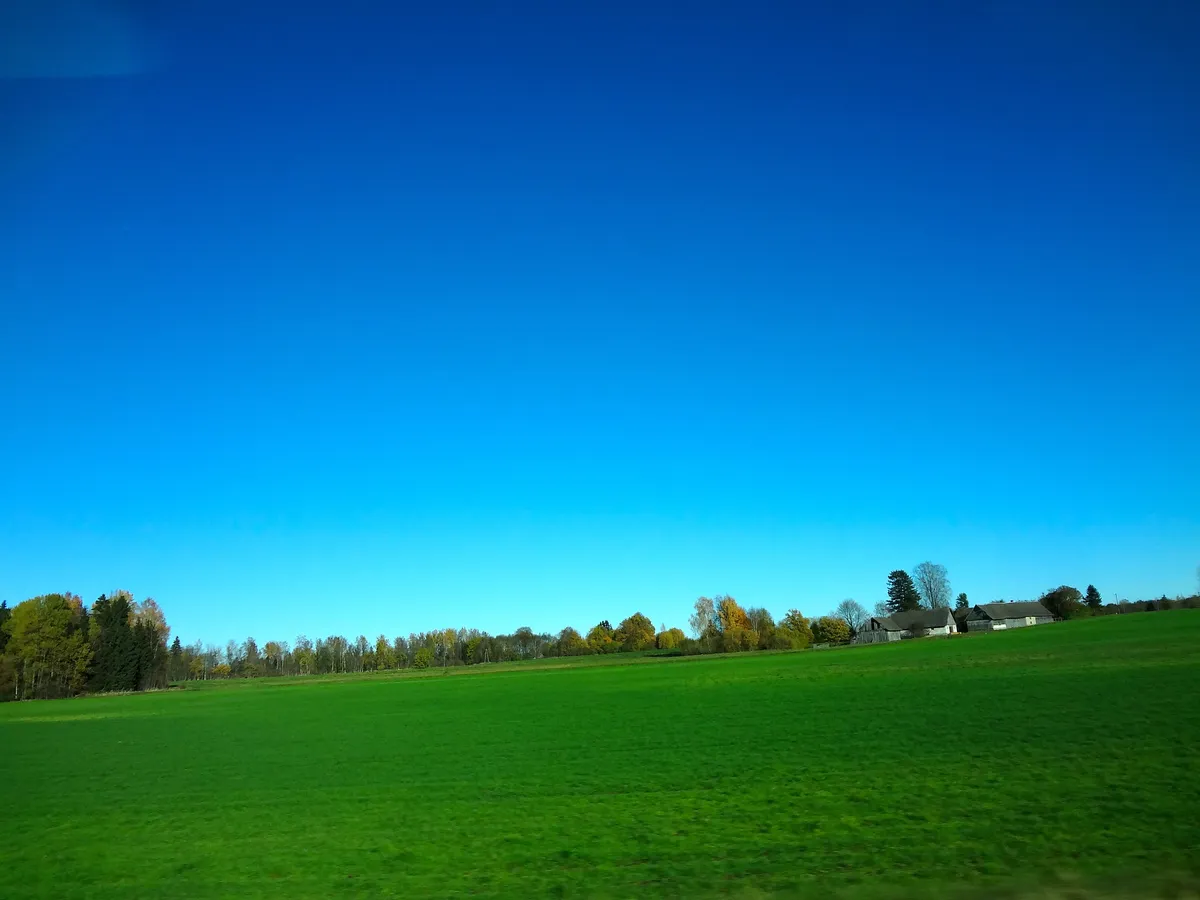 DSC01032_EDIT