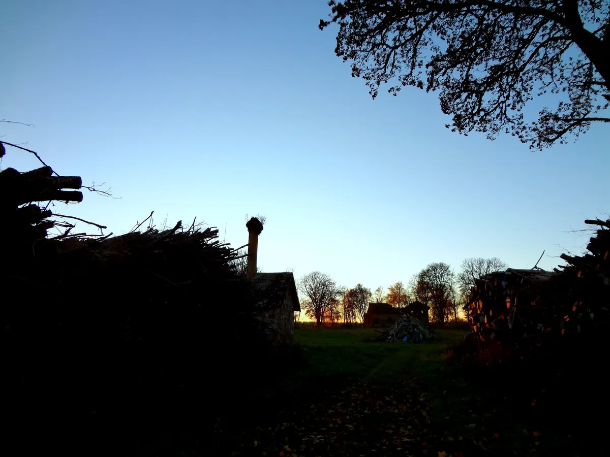 DSC01052_EDIT