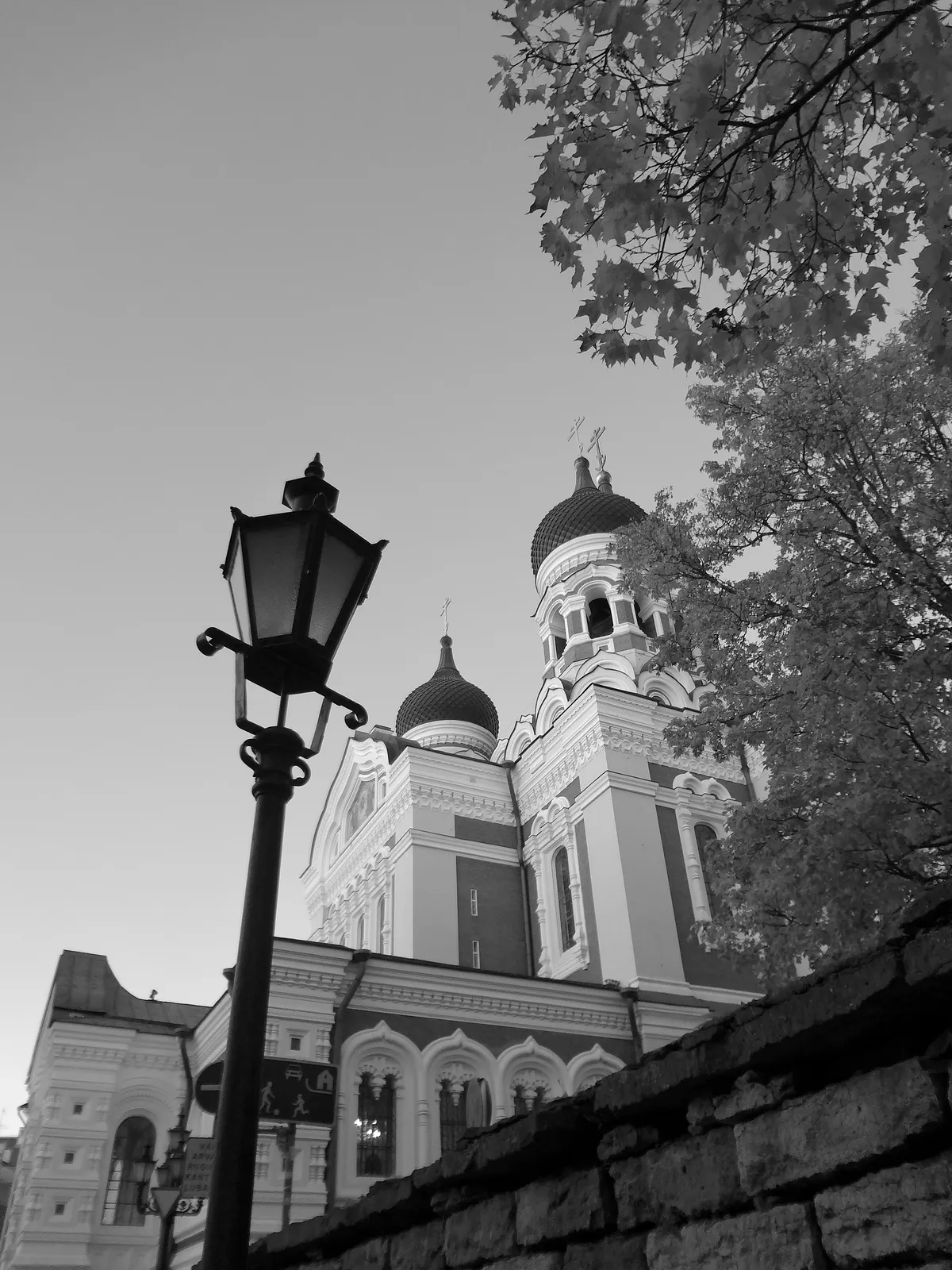DSC01179_EDIT