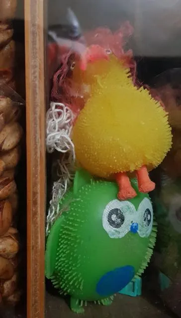 polliiiitos