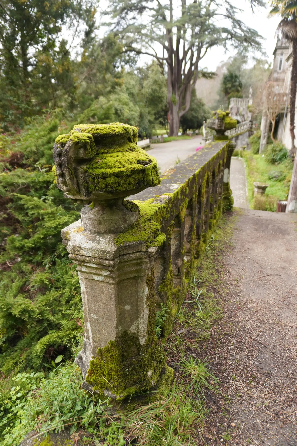 DSC01031_Gutshof bewachsene Balustrade