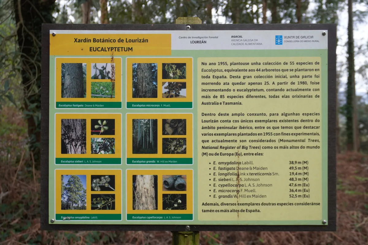 DSC01207_Schild Eucalypteum