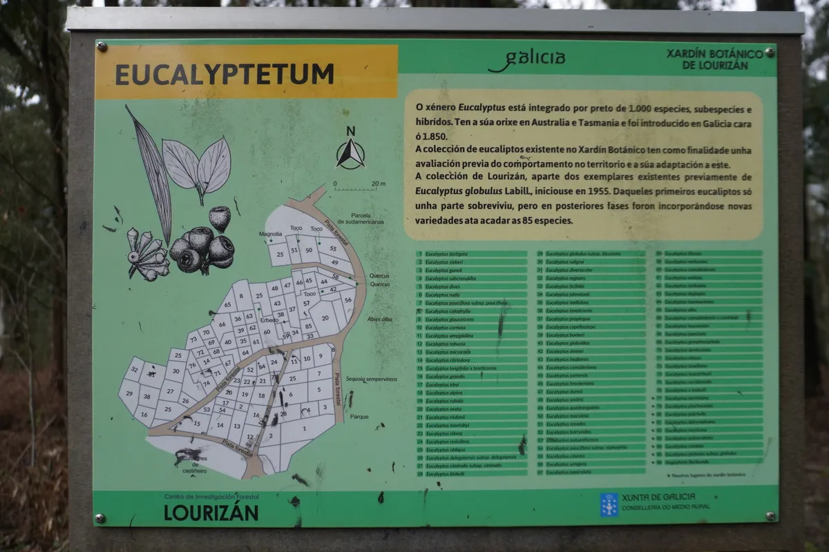 DSC01223_Schild Eukalyptussorten