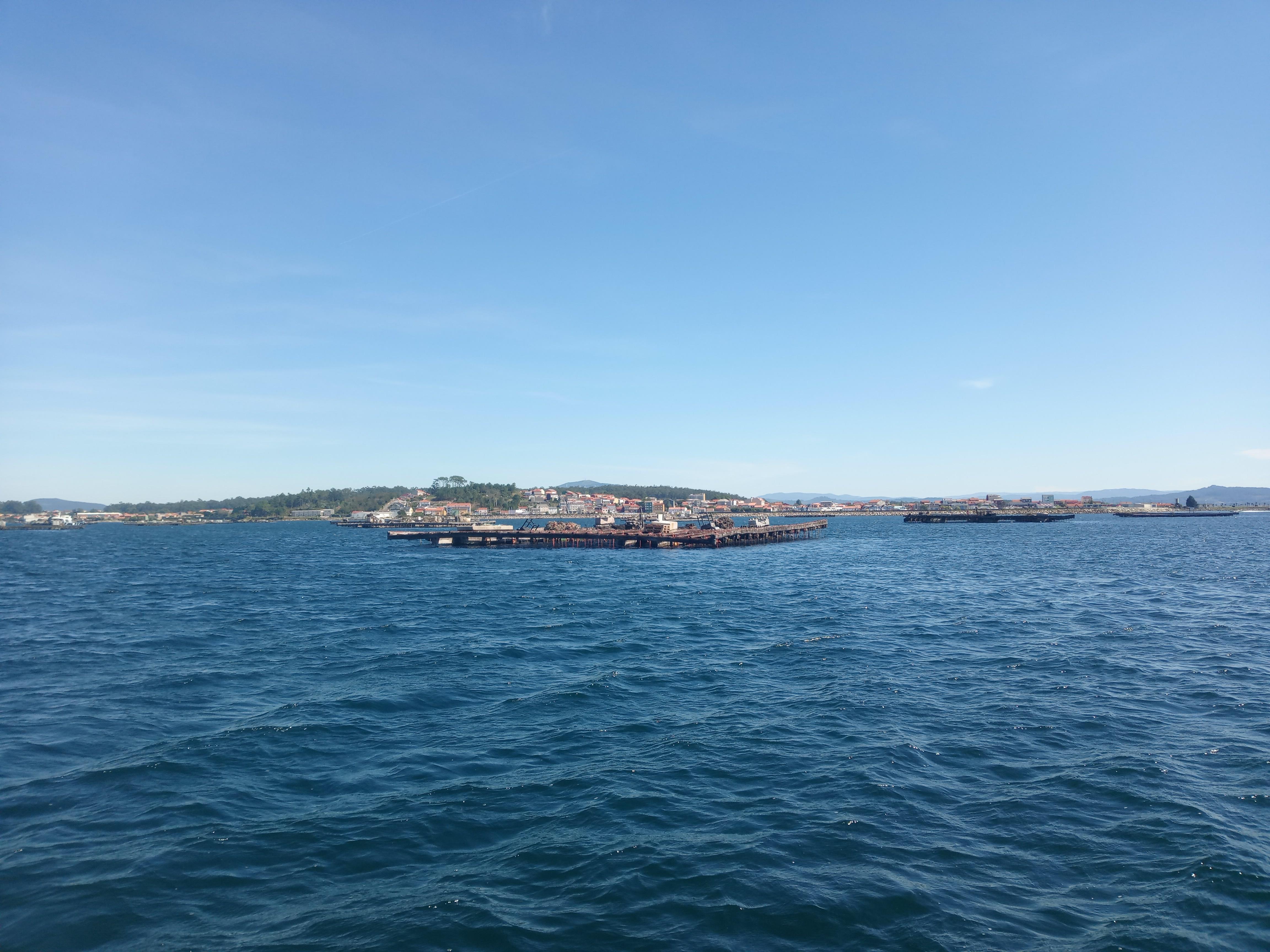 IMG_20240916_143836_Viveiros