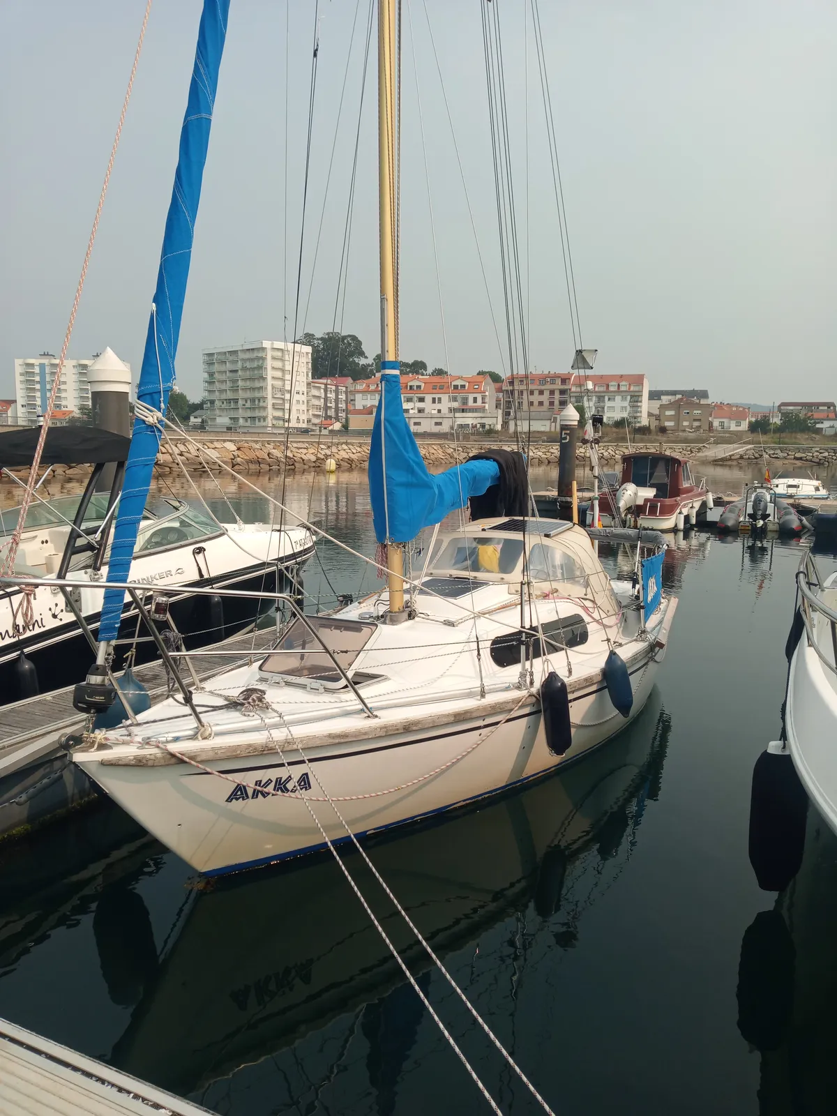 IMG_20240919_151336_Akka in Vilanova