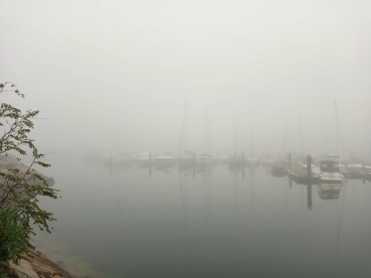 IMG_20240921_093647_Nebel