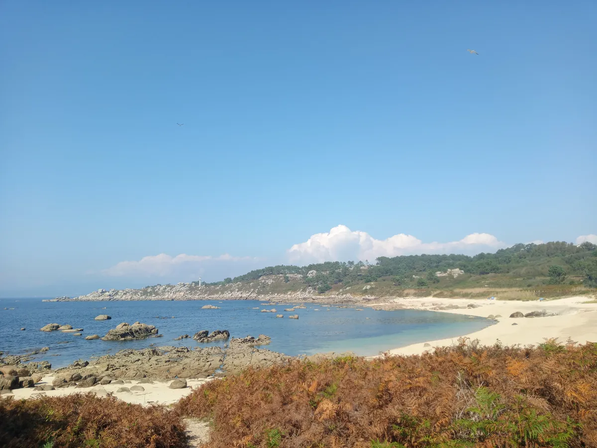 IMG_20240922_160441_Strand