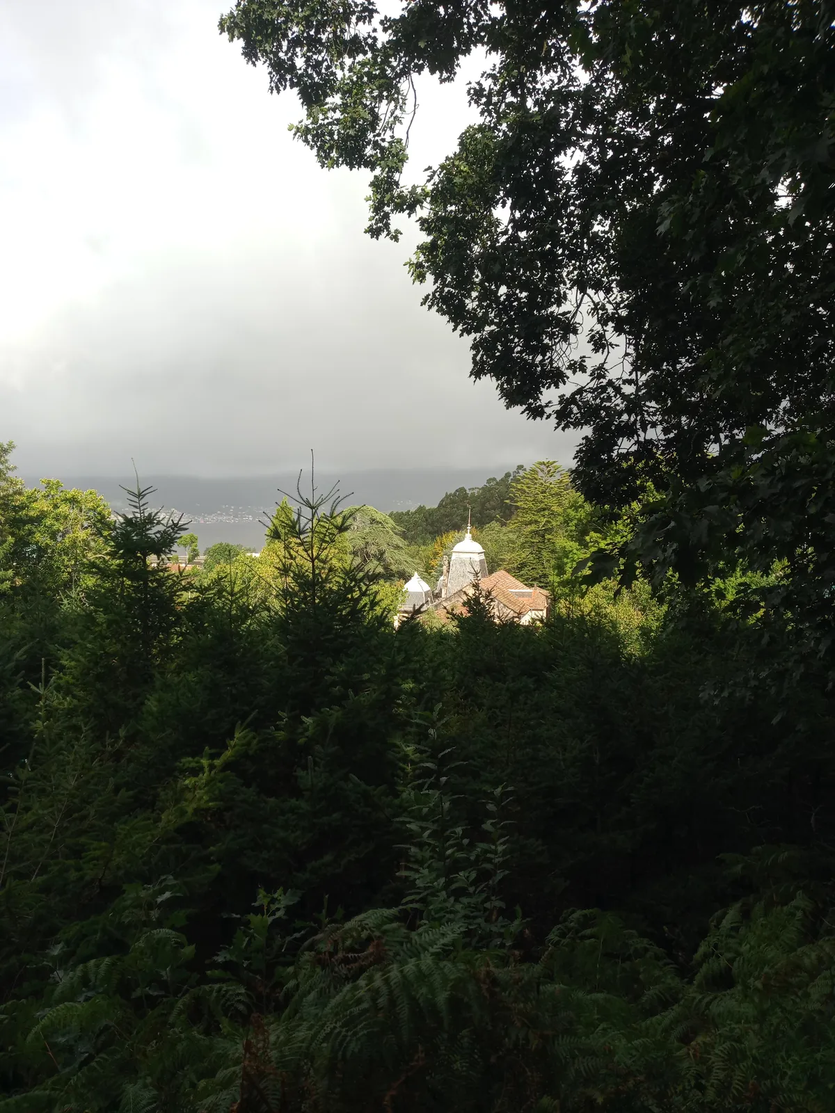 IMG_20240926_114445_Lourizan Dach