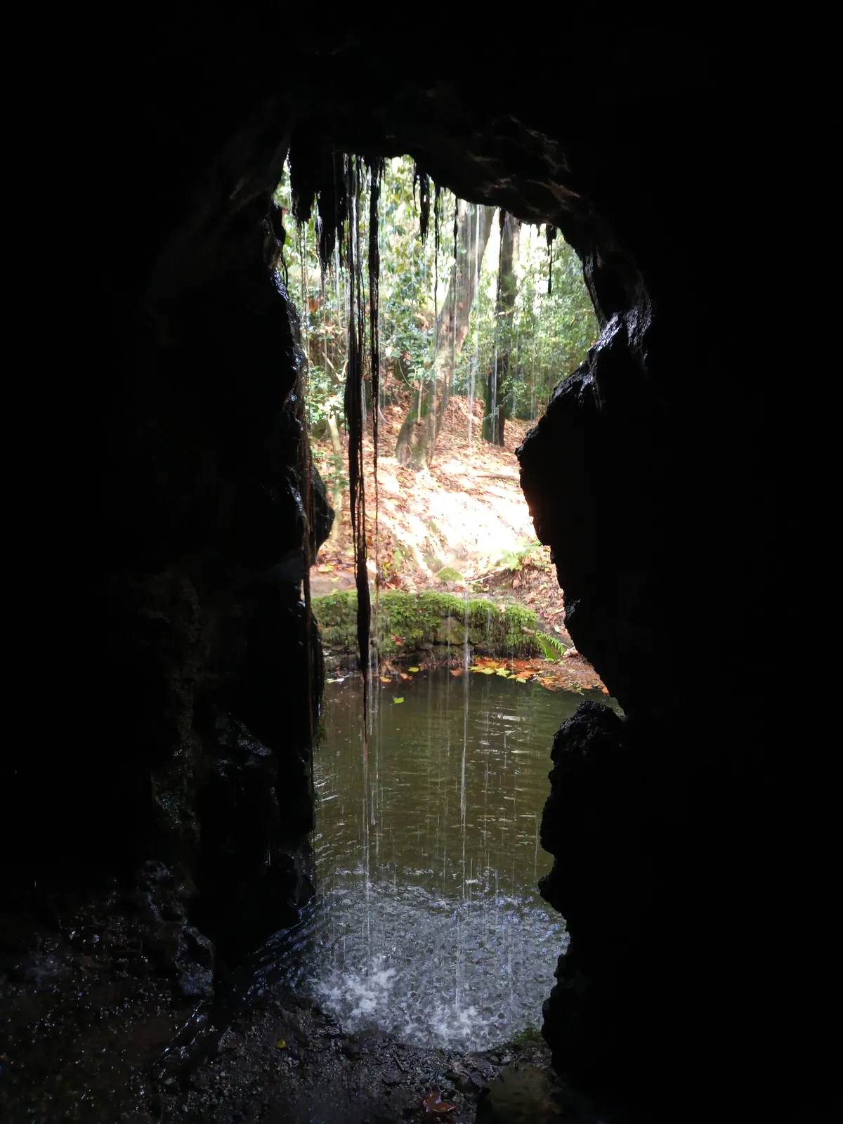 IMG_20240926_124935_Grotte
