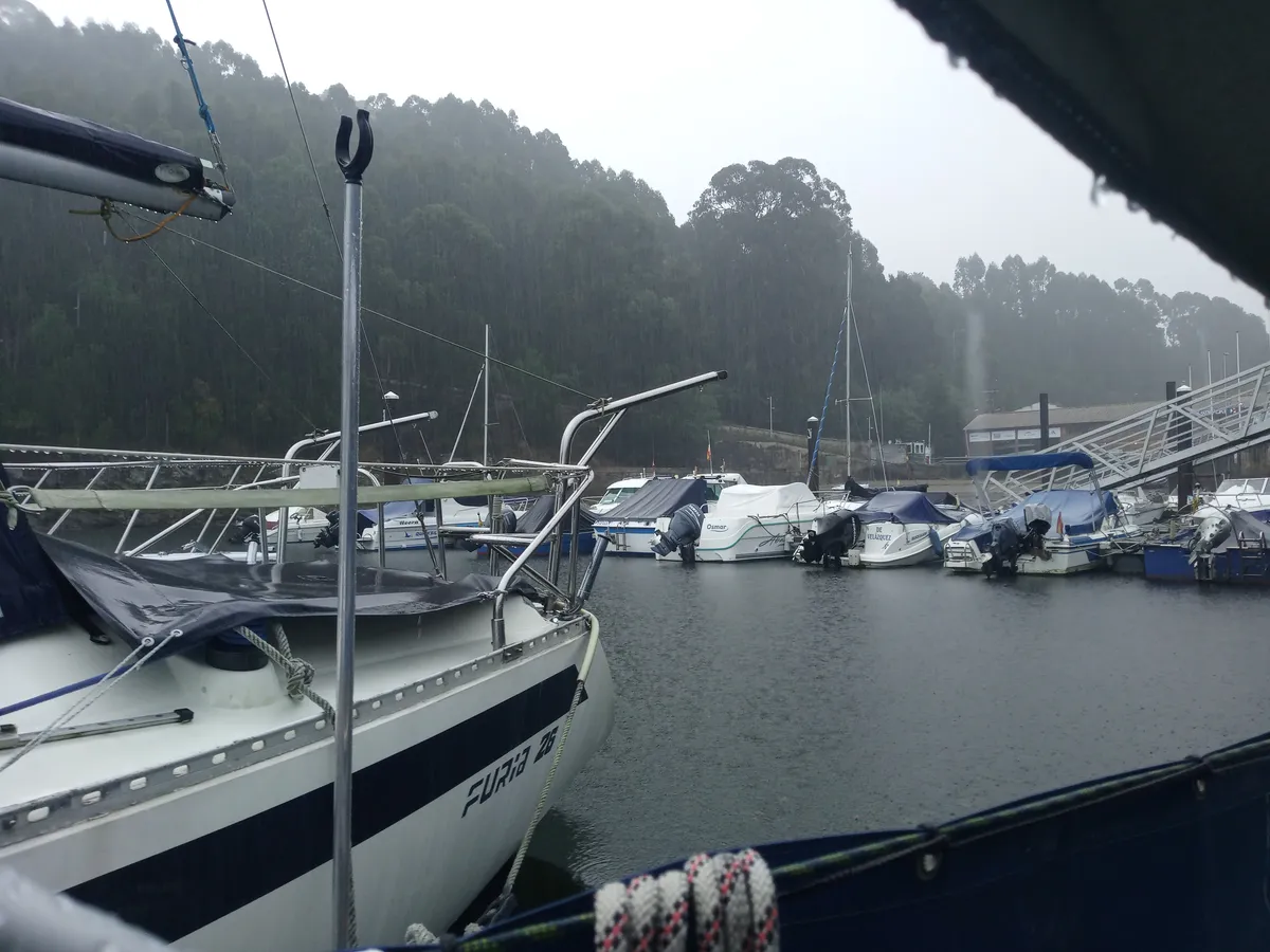 IMG_20241001_090619_Punta Lagoa Regen