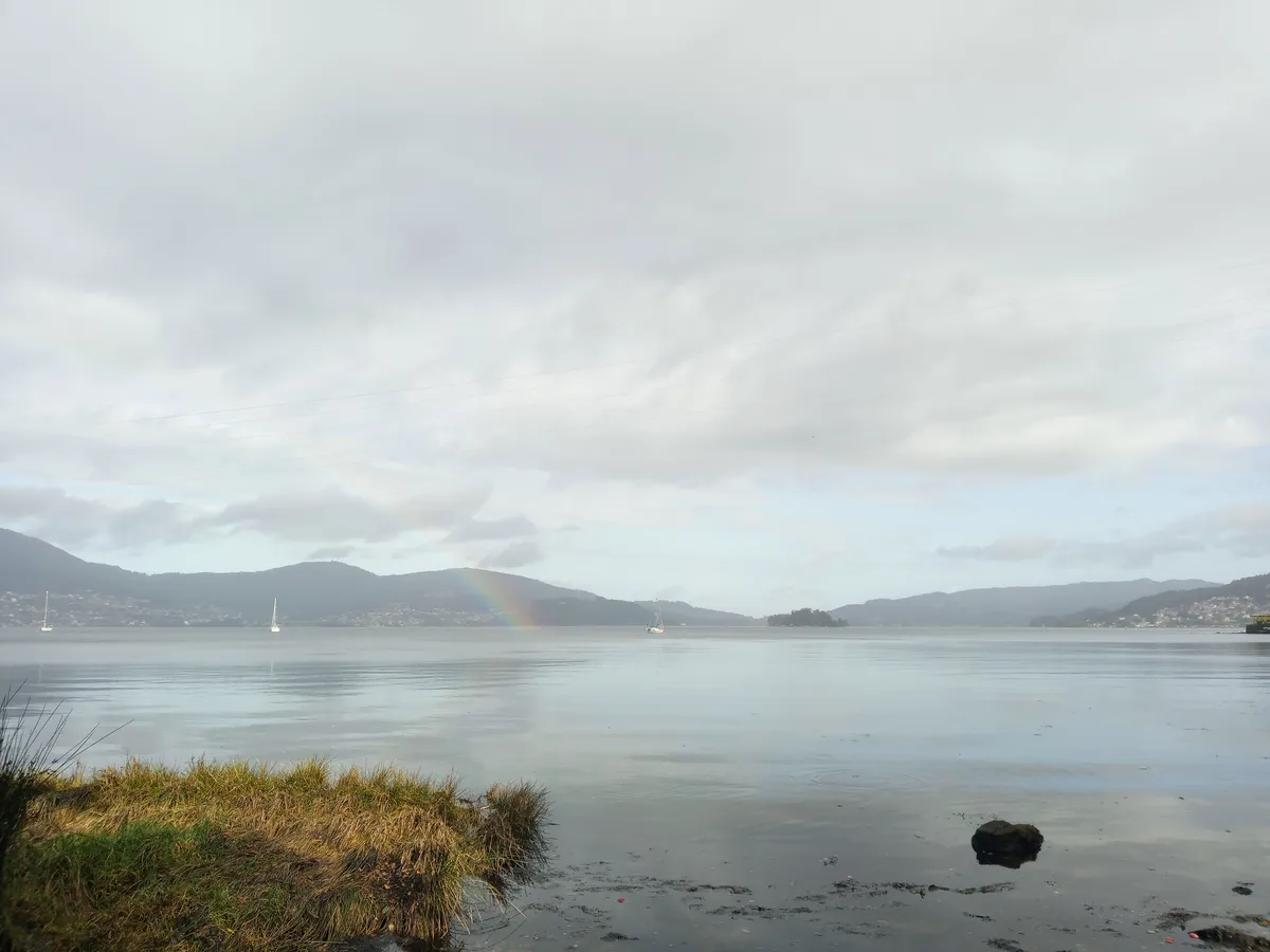 IMG_20241012_112725_Akka Regenbogen