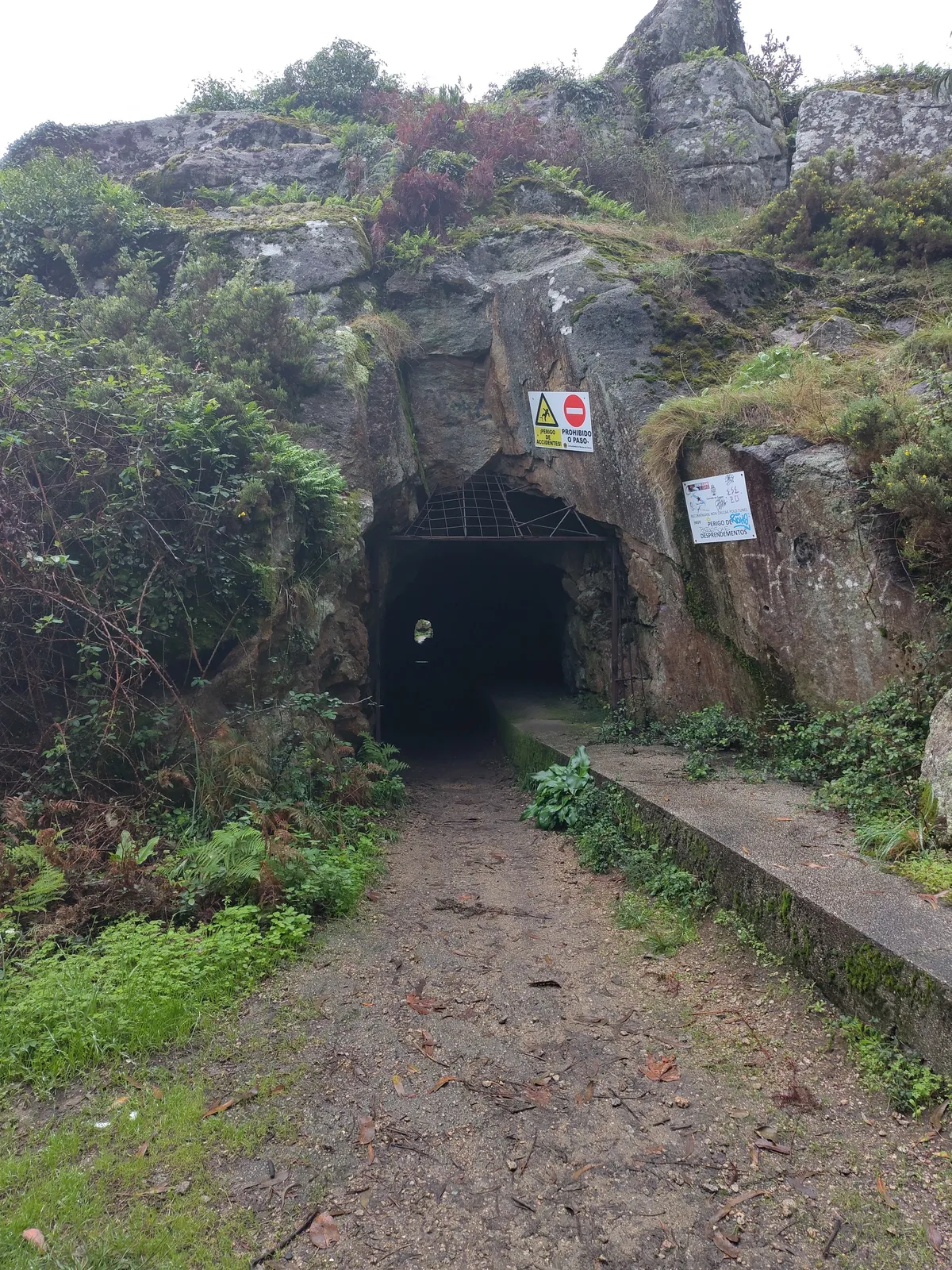 IMG_20241110_121455_Tunnel