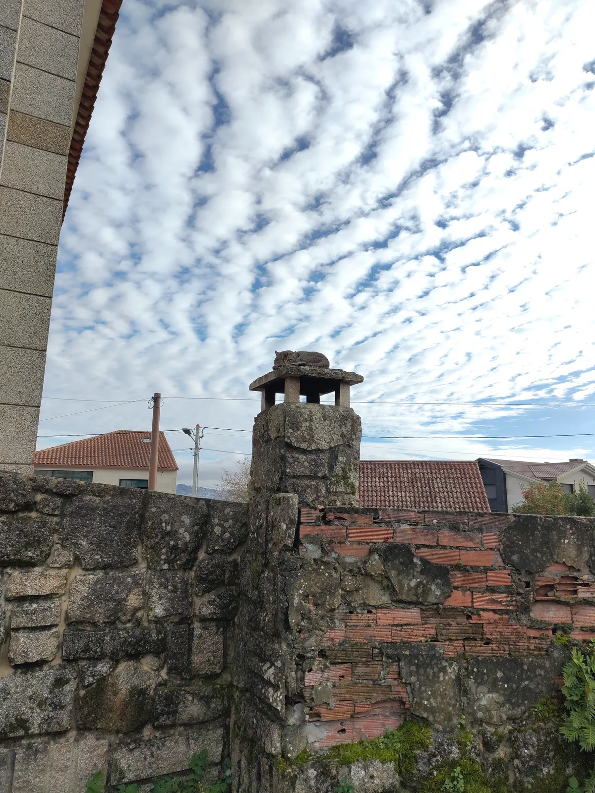 IMG_20250111_150319_Katze auf Schornstein