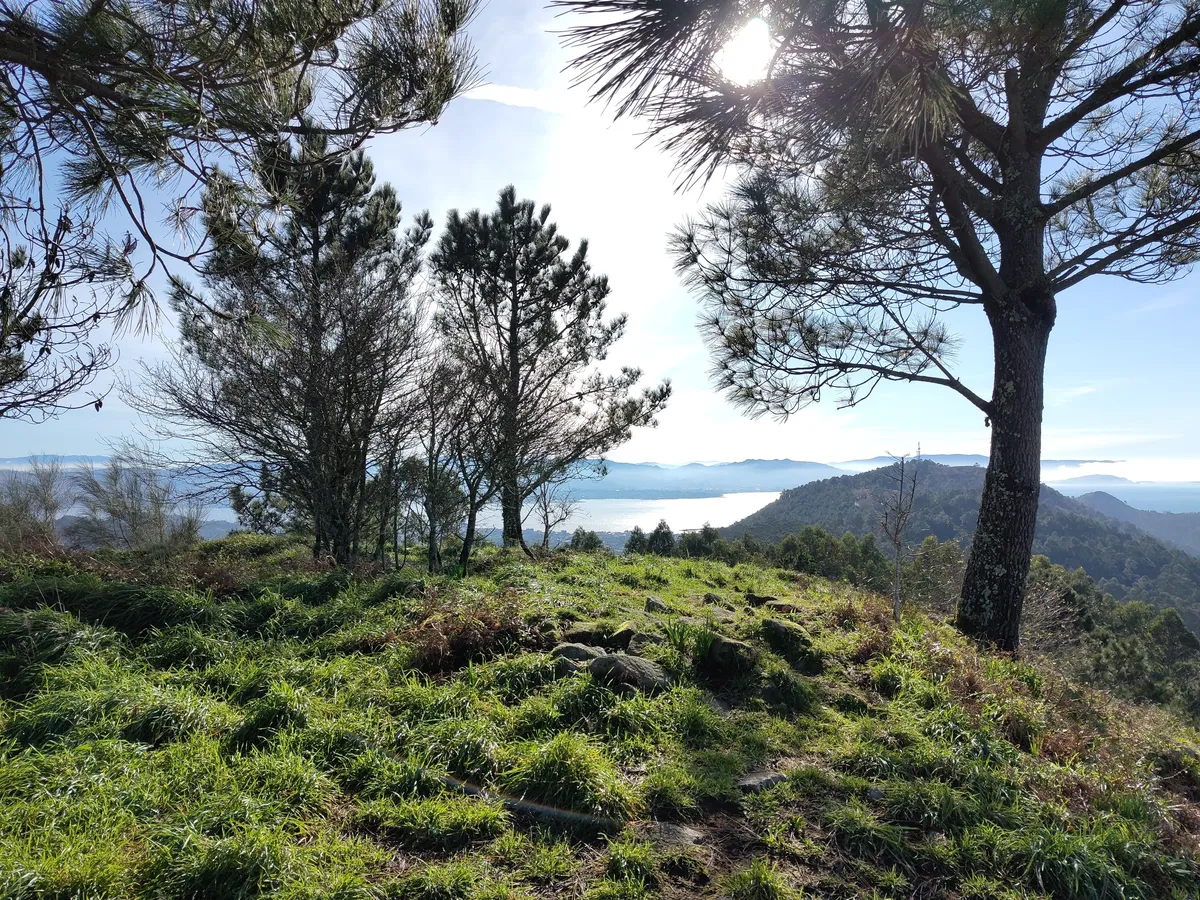 IMG_20250112_132650_Blick von Huegel bei Aldan