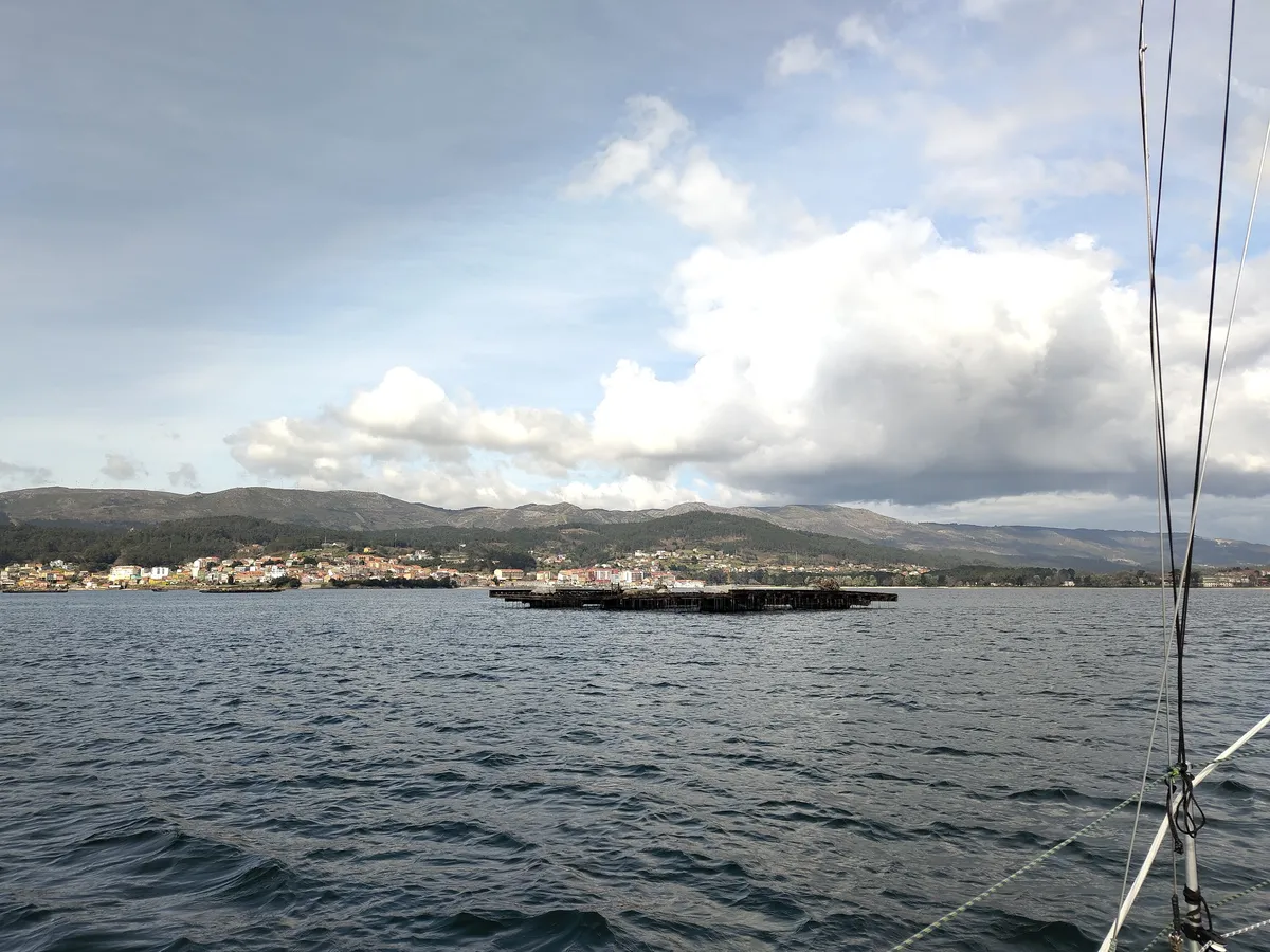 IMG_20250312_130851_Viveiros und Gebirge