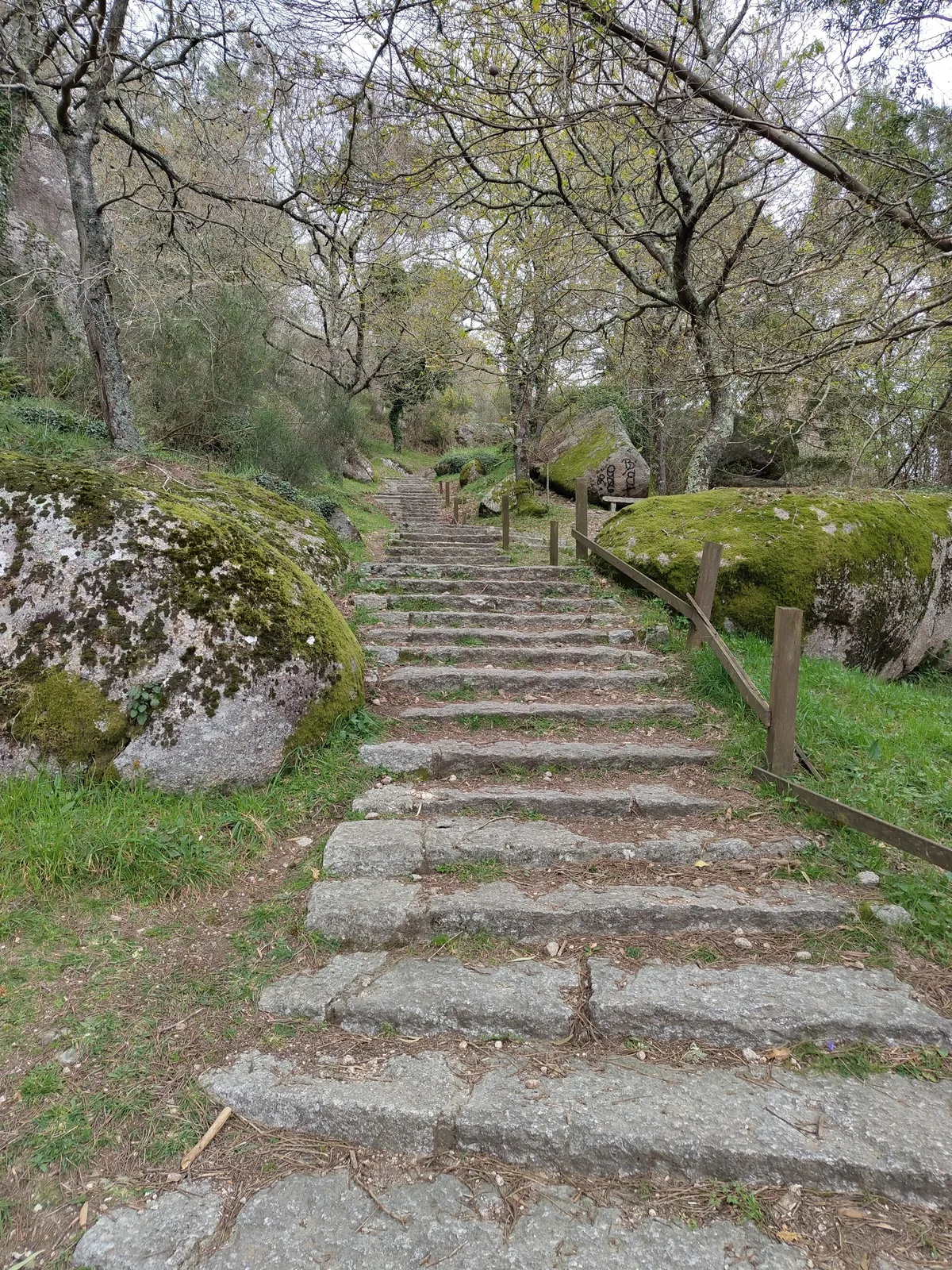 IMG_20250319_114036_Vilagarcia Wanderung