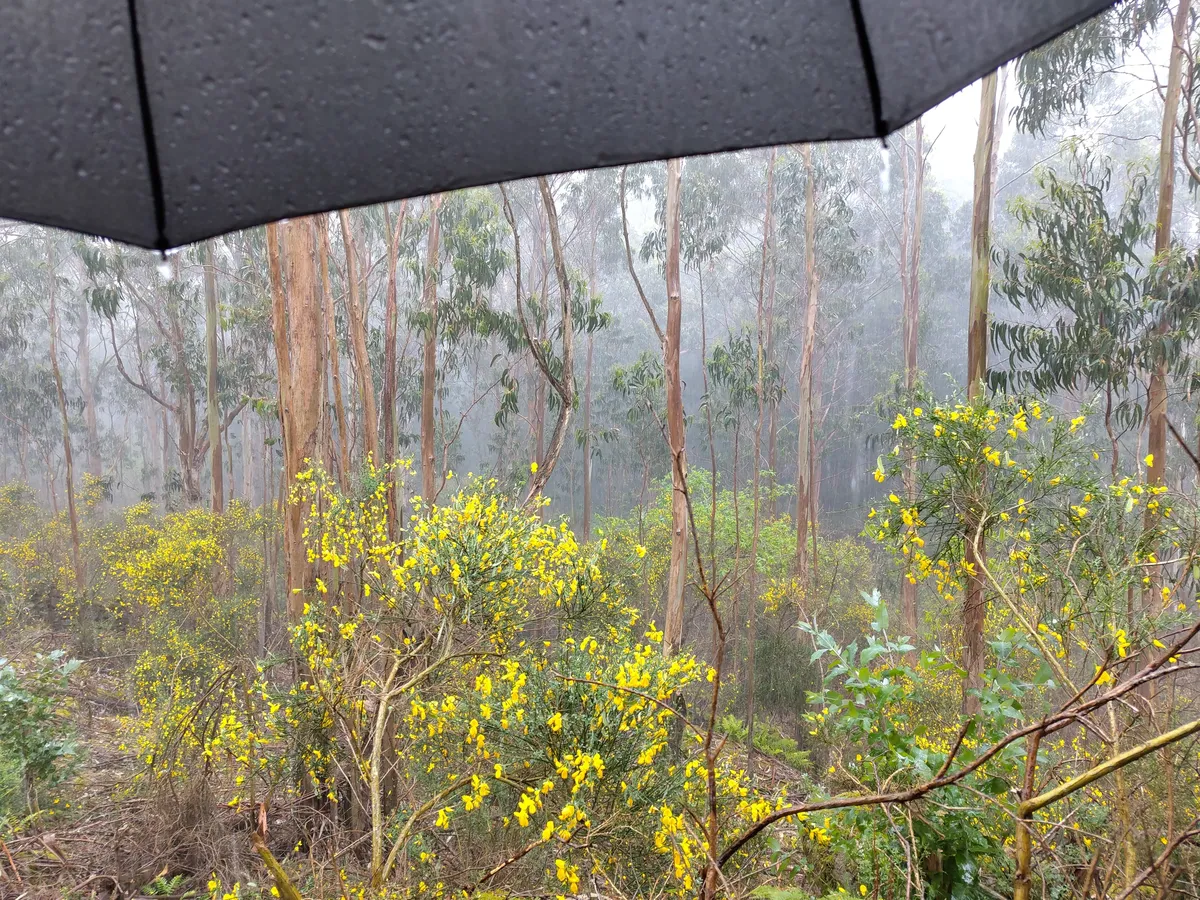 IMG_20250404_161214_regen