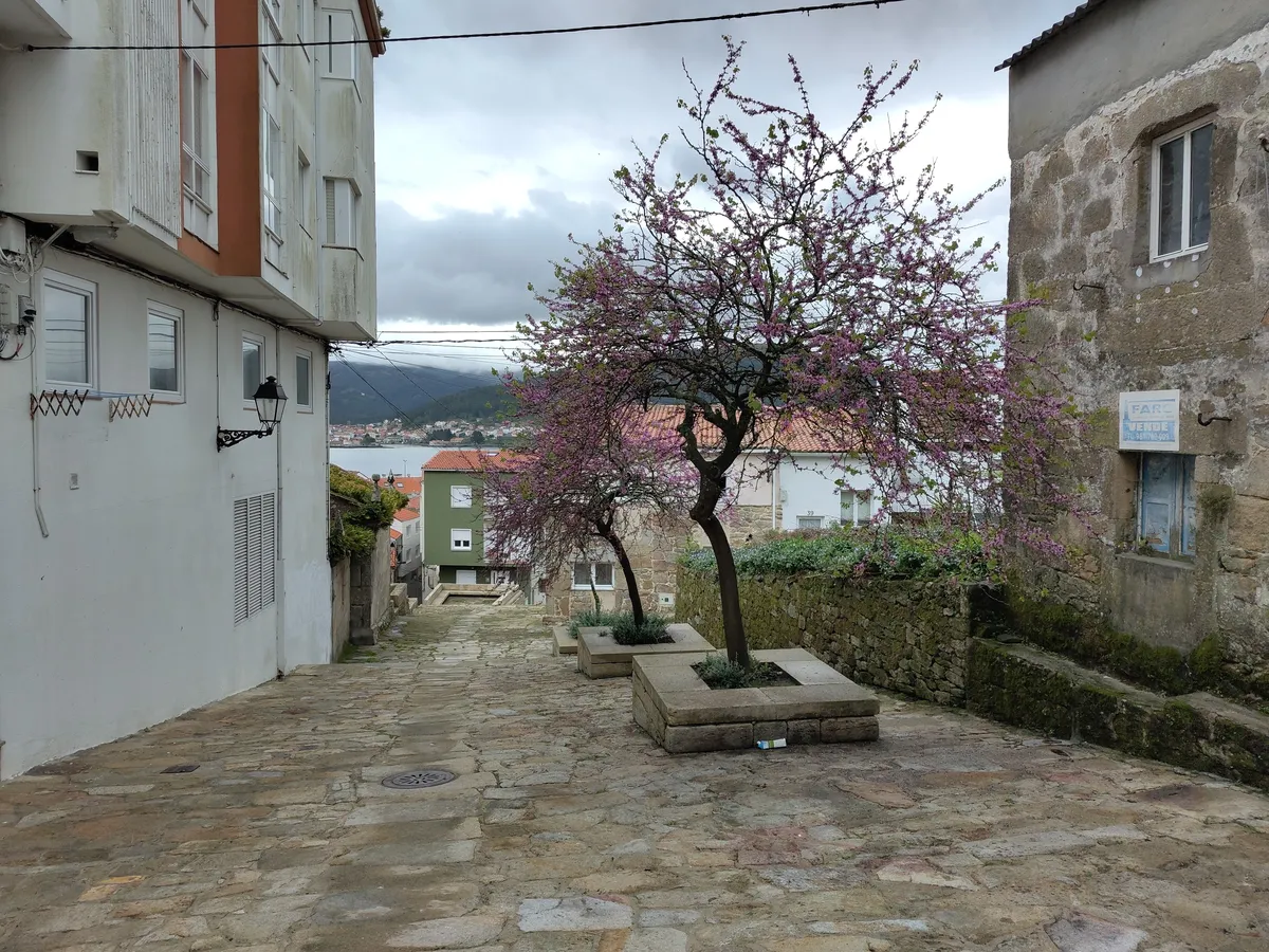 IMG_20250404_172755_Strasse in Muros