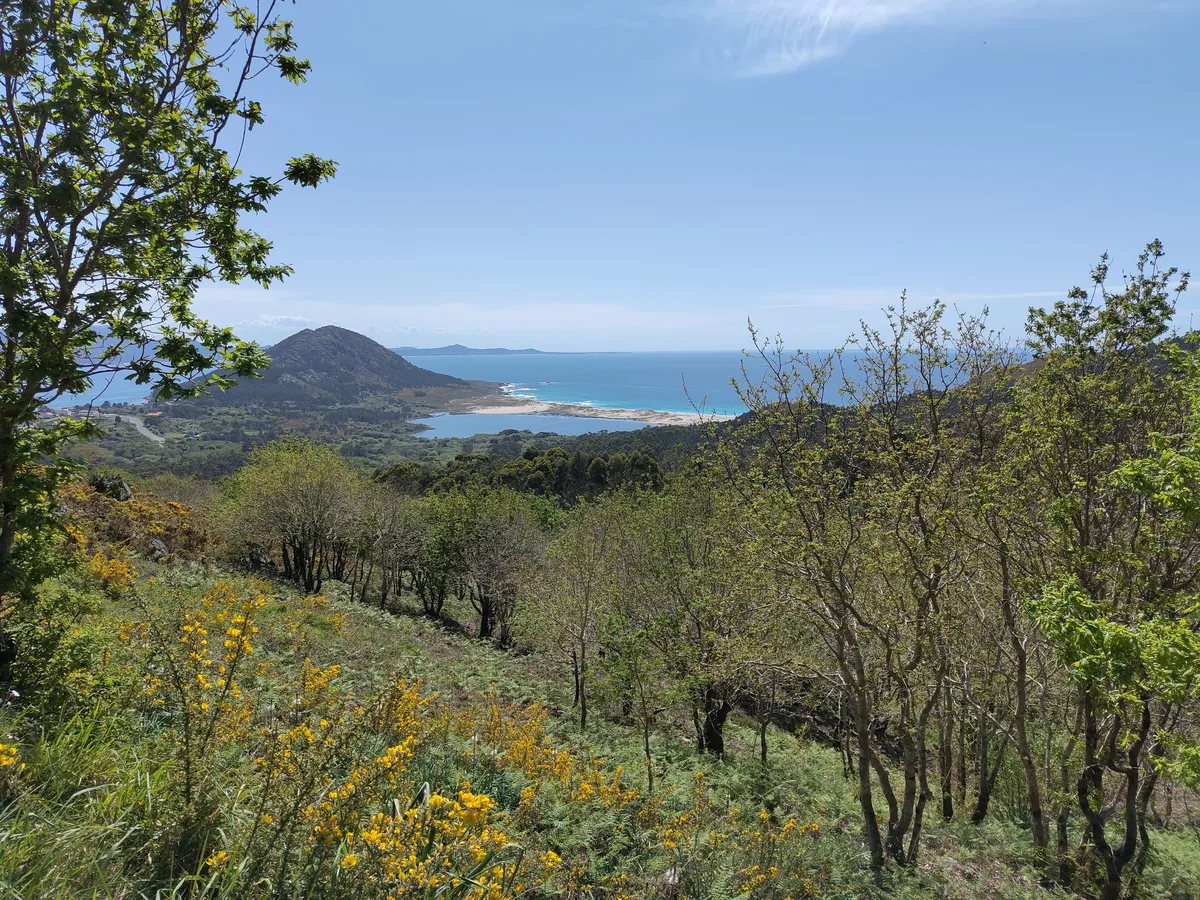 IMG_20250406_142958_Mt Louro mit Lagune