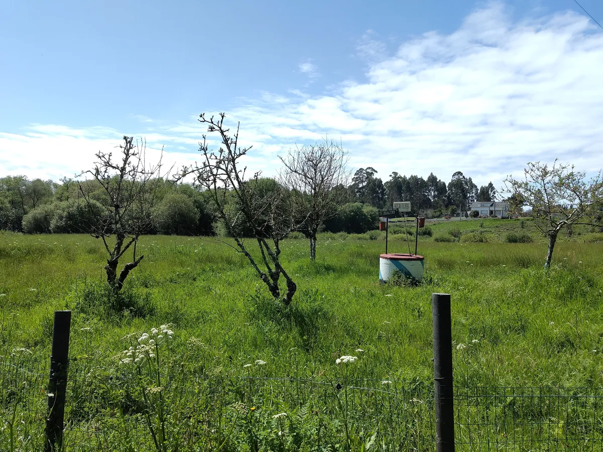 IMG_20250413_143841_Finca