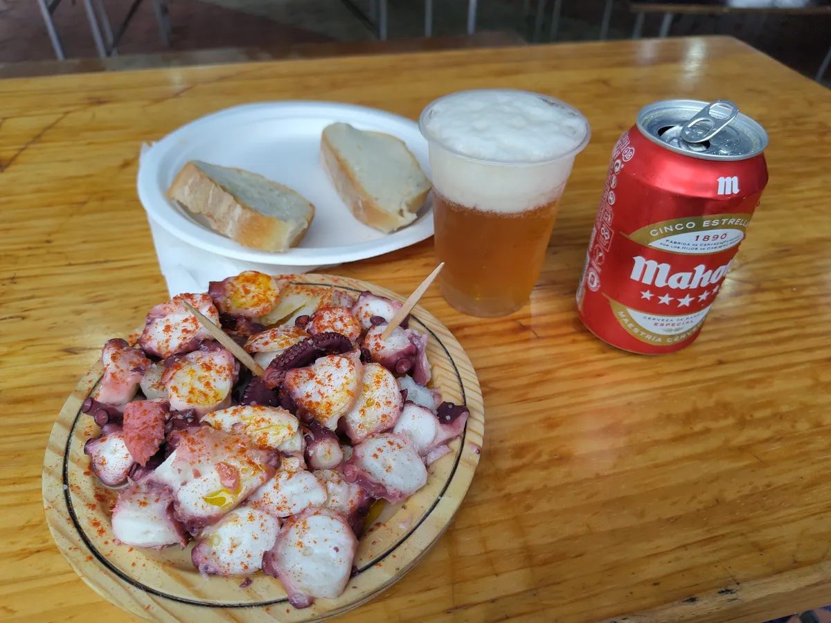 IMG_20250504_141549_Pulpo
