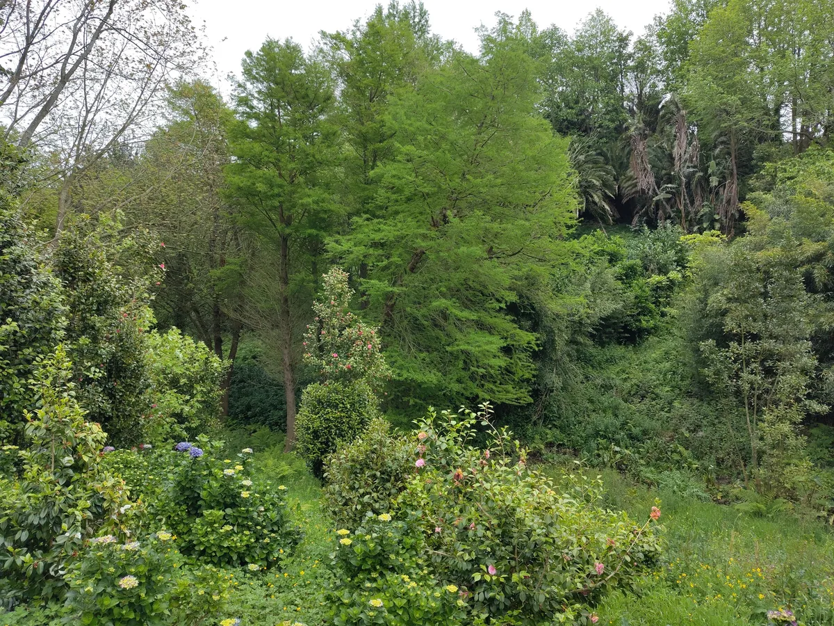 IMG_20250504_150105_Garten Fonte Baxa Vegetation