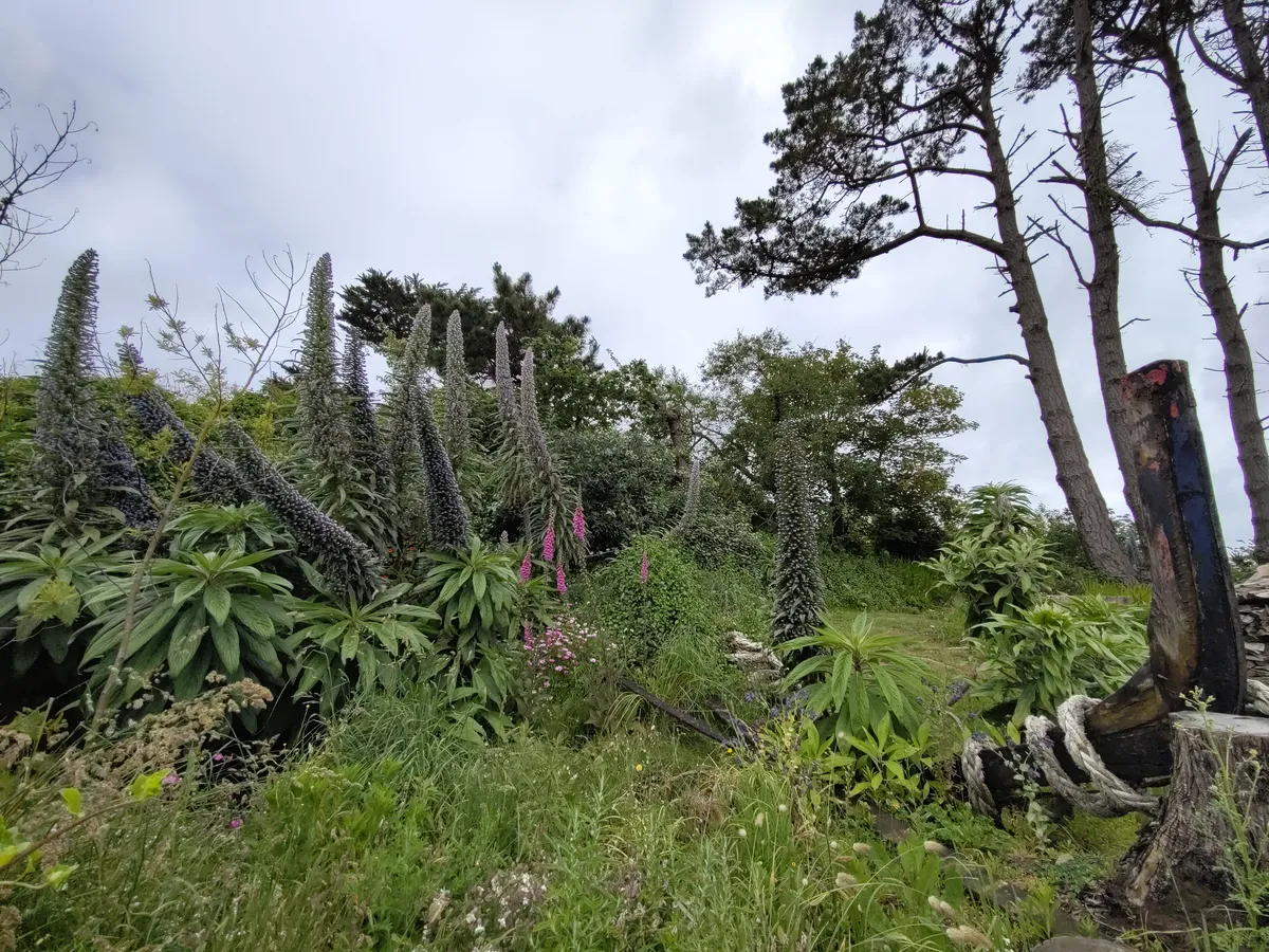 IMG_20250525_103530_Vegetation