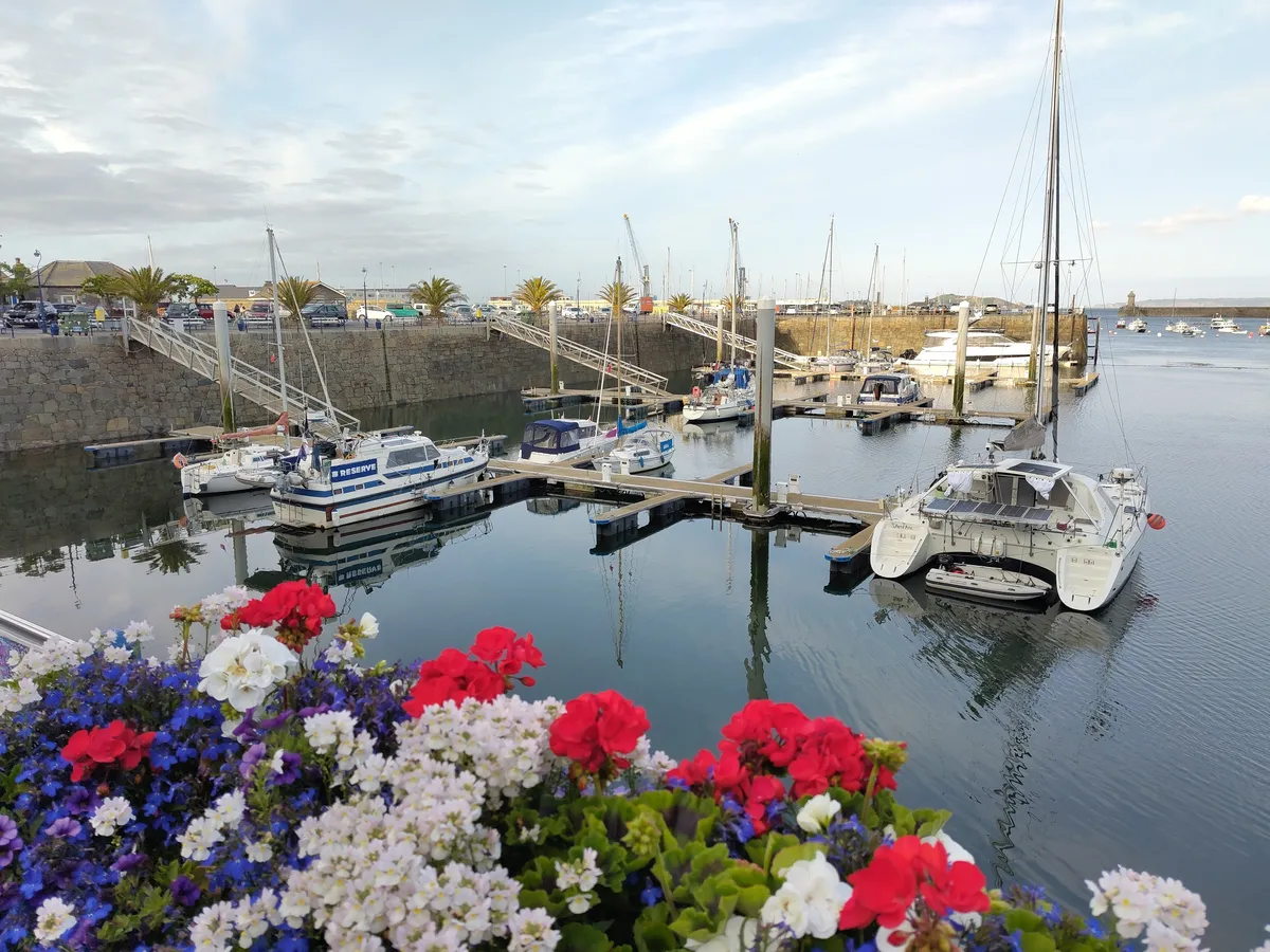 IMG_20250601_192707_Hafen und Blumen