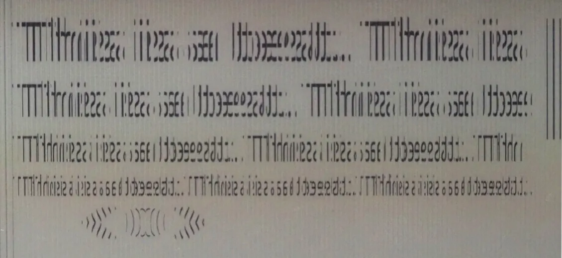 A macro photo of the image, displayed on an E Ink screen and viewed through a lenticular sheet.