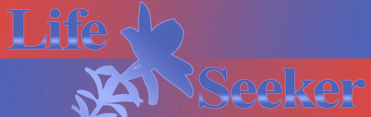 LifeSeeker_Strip1